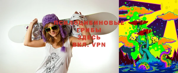 гашик Нязепетровск